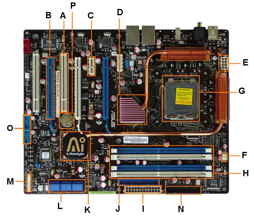 Motherboard Diagram With Labels